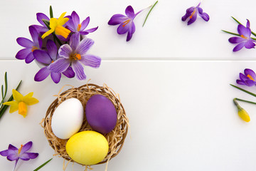 Purple crocuses and easter Eggs in the nest isolated on white wood Background.