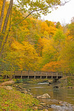 Rural Bridge in a Fall Forest