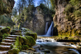 Tine de Conflens