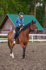 Horse riding lessons for beginners