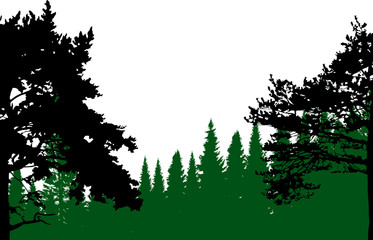 black two pines in green forest illustration