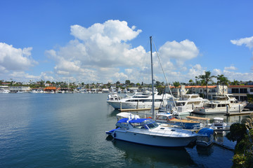 Newport Beach, california, USA, Marina with yachts and boats scenic view