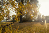 Parco natura