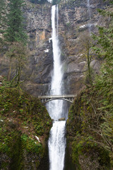 Multnomah Falls - waterfall in the forest