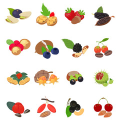 Forest food icons set. Isometric set of 25 forest food vector icons for web isolated on white background