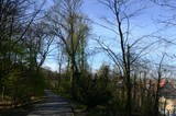 Bruxelles ((Belgique) : Parc Duden de Forest