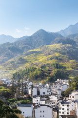wuyuan mountain village in spring