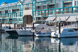 White yachts on berth on sunny day