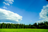 green field and blue sky, in Sweden Scandinavia North Europe