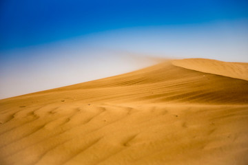 Windy desert