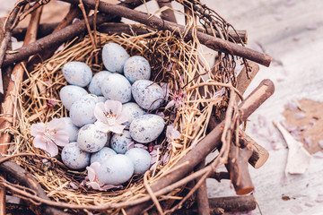 eier im schönen Holzkorb Nest