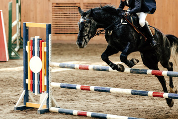 competition for equestrian sport equestrian on horse jumping obstacle