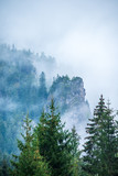 mist rising from valleys in forest in slovakia Tatra mountains
