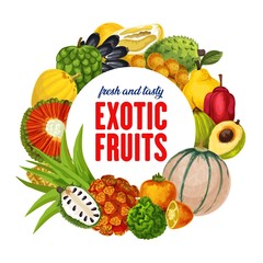 Exotic fruits, tropical citrus, cantaloupe harvest