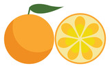 A farm fresh orange fruit to be enjoyed by someone vector color drawing or illustration