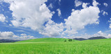 Idyllic view, green hills and blue sky with white clouds