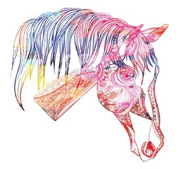 Horse's head. Drawing by hand in vintage style. Meditative coloring. coloring for children. A horse with a long mane. Arrows, points, patterns.