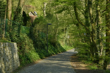 Chemin ombragé longeant un mur en pierres vers un endroit plus éclairé au domaine de l'abbaye du Rouge-Cloître à Auderghem 