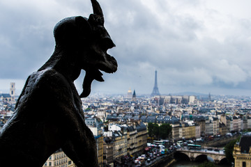 View of Paris from the Notre-Dame de Paris Tower