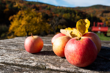 Autumn apples on old wood