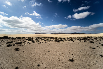 Desert of Fuerteventura on Canary Islands in Spain