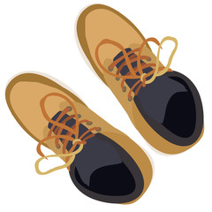 men's shoes with laces, top view, isolated, vector