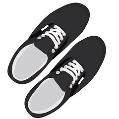 sneakers shoes, top view, isolated