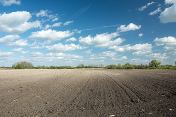 Plowed soil in a field, white clouds on blue sky