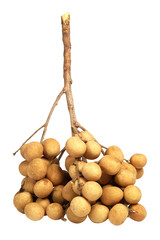 Bunch of longan Thai fruit with white isolated background