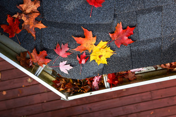 Autumn leaves in a rain gutter on a roof