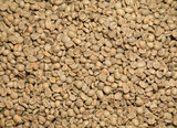 Texture di chicchi di caffè