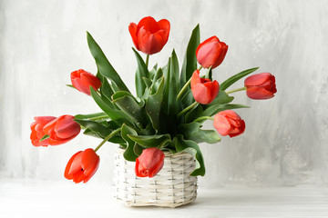 Bouquet of red tulips in a wicker vintage basket on a gray background.