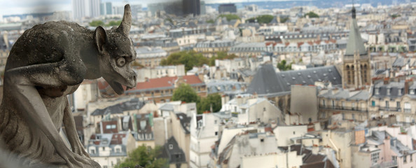 gargoyle of the cathedral of Notre Dame in Paris in France