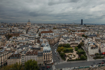 View of the Paris from the tower of Notre Dame De Paris