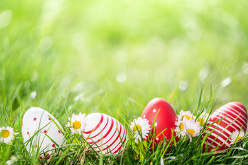 easter eggs in grass and flowers background