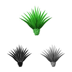Vector design of agave and plant  sign. Set of agave and cactus vector icon for stock.