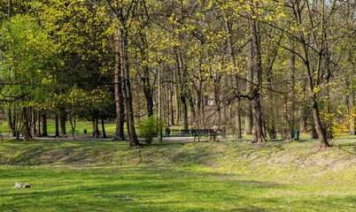 Bednarski Park in Krakow