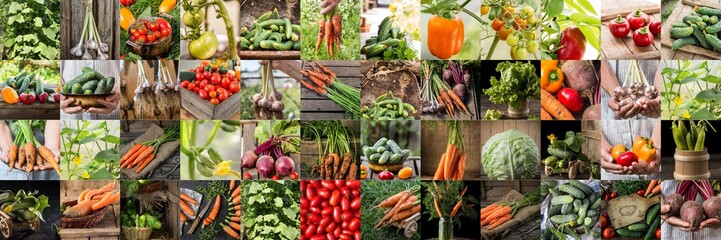 Collection with different color  vegetables. Healthy eating background