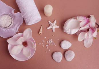 Beautiful spa arrangement of stones, towels, water in the bowl, starfish and shells on a brown background, the concept of health and beauty