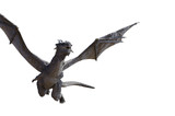 dragon fly 3D render on white background