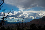 Majestic view of Zion National Park