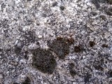 texture