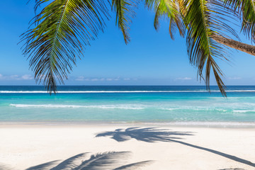 Paradise beach with white sand and coco palms. Summer vacation and tropical beach concept.  