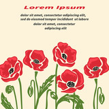 Bright doodle poppy flowers vector illustration. Remembrance day poster.