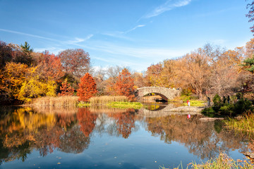 Central Park Autumn - New York City