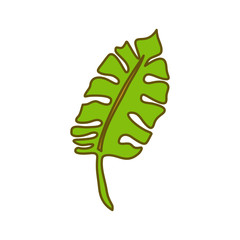 Leaf Tropical Design Illustration Template Vector