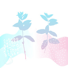 Abstract floral botanical background. Realistic herbs, flowers, plants in pastel colors with doodles , texture and gradient ribbon in pastel colors on white background.