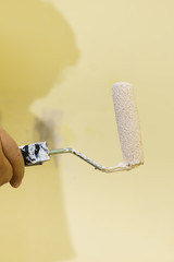 Hand applying paint on wall