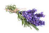 Lavender flowers bunch
