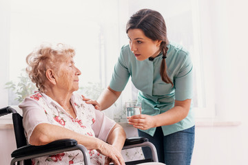 Senior grandmother on wheelchair, supporting nurse giving her glass of water